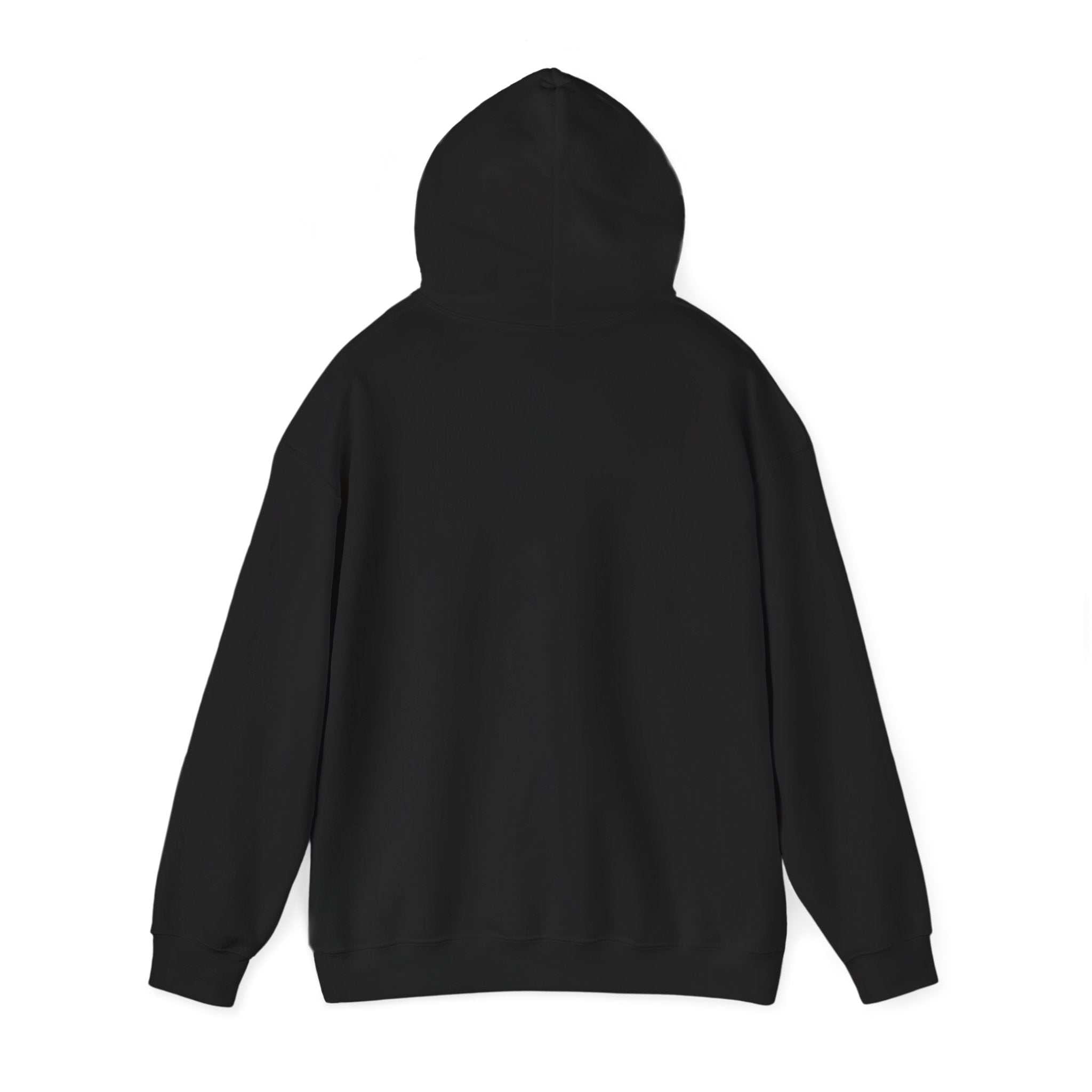 Inspirational Journey Hoodie a unisex cozy hoodie