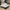 White mesh sneakers with multicolor graphic print, lightweight EVA sole, and lace-up design for men