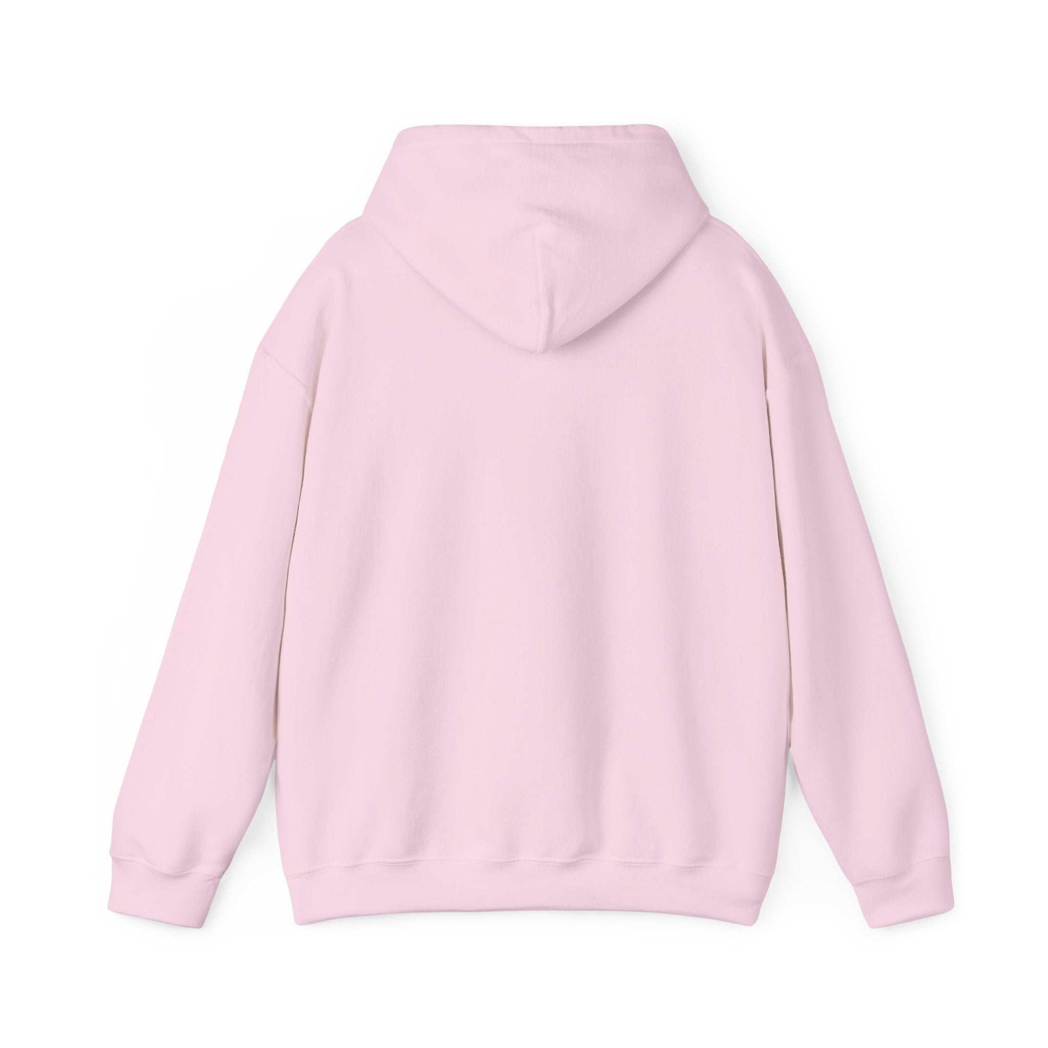 Inspirational Journey Hoodie a unisex cozy hoodie